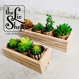 Chậu gỗ trồng cây (30cm)