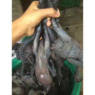 Gà tần thuốc bắc khay 2 con