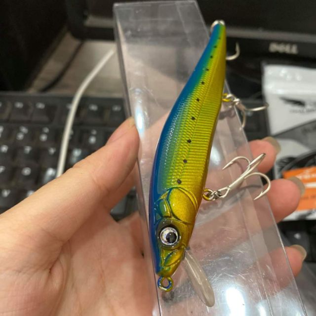 Cá Minnow Sanchem
