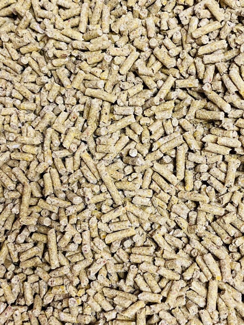 1KG cám thanh bình dinh dưỡng cho gà (thức ăn hỗn hợp, thức ăn gà)
