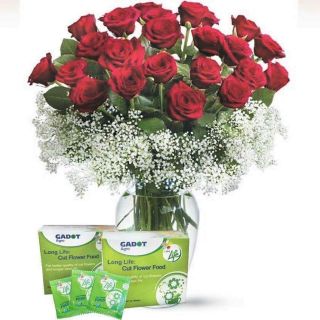 Gói thuốc dưỡng  hoa longlife