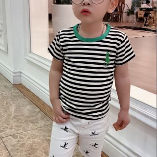 Combo 3 áo kẻ sz 1-7.