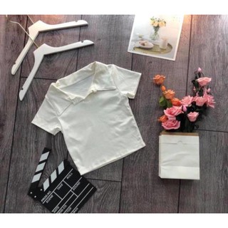 Áo Crotop cổ bẻ
