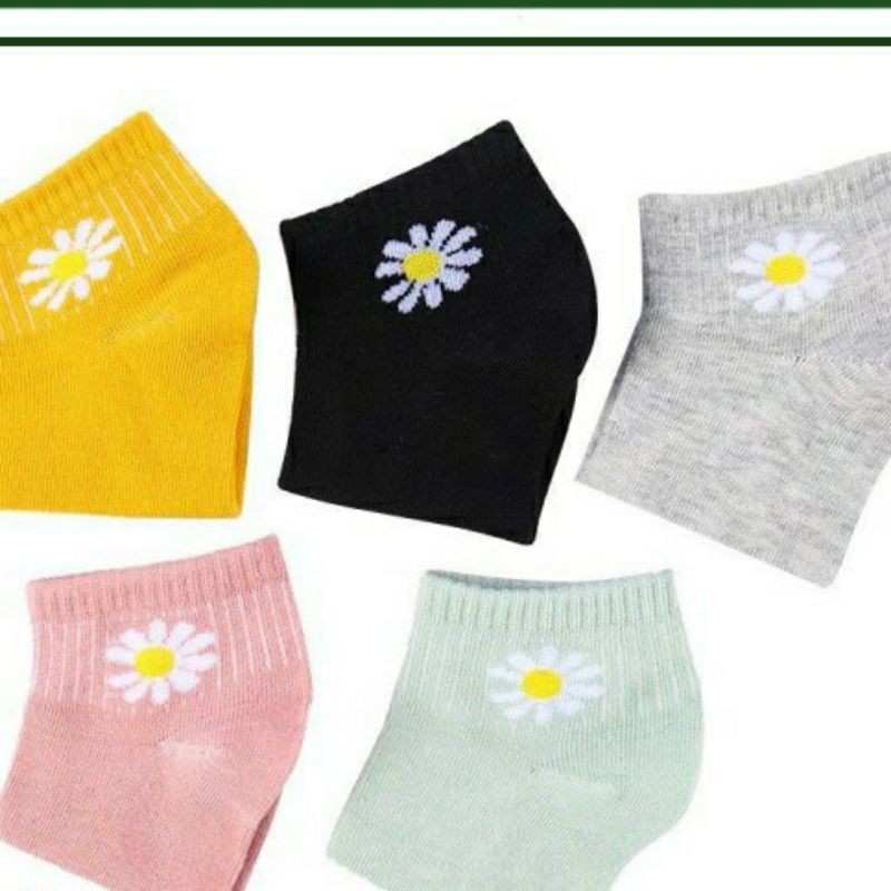 Sét 10 đôi vớ tất hoa cúc đủ màu