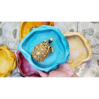 Chén ăn +máng nước cho Rùa và bò sát.