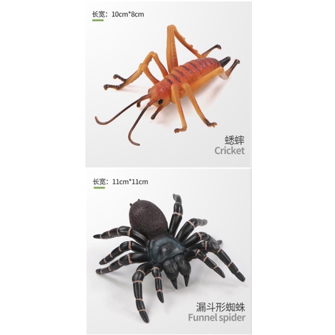 Đồ chơi mô hình côn trùng bò sát cho trẻ nhỏ