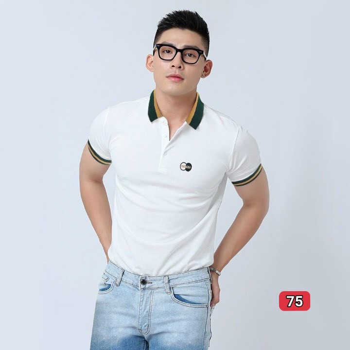 Áo thun nam có cổ đẹp, áo polo nam màu trắng thêu logo thêu chữ đẹp phong cách thời trang nam 2021 Muradfashion atn75 | BigBuy360 - bigbuy360.vn