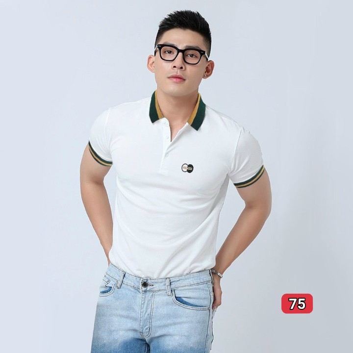 Áo thun nam cổ bẻ họa tiêt tay ngắn cao cấp-chất thun cotton co dãn-chuẩn hàng shop(ảnh thật) BEN shop0807 TC6