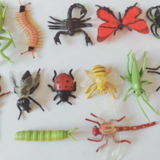 Mô hình côn trùng safari