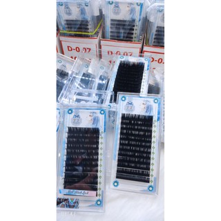 Mi khay TITI độ cong D