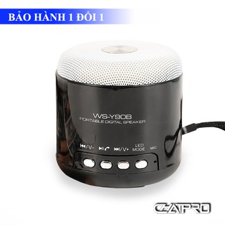Loa Bluetooth WS Y90B