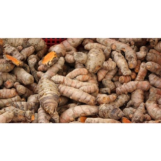 1KG nghệ vàng tươi - nhà trồng