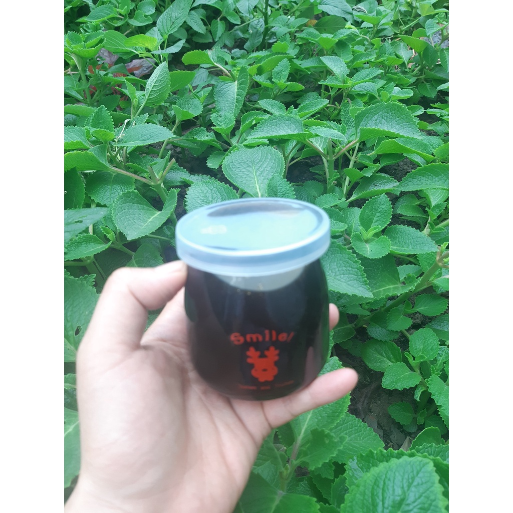 Lá húng chanh tươi, rau tần dày lá, Bán sỉ lẻ làm siro húng chanh