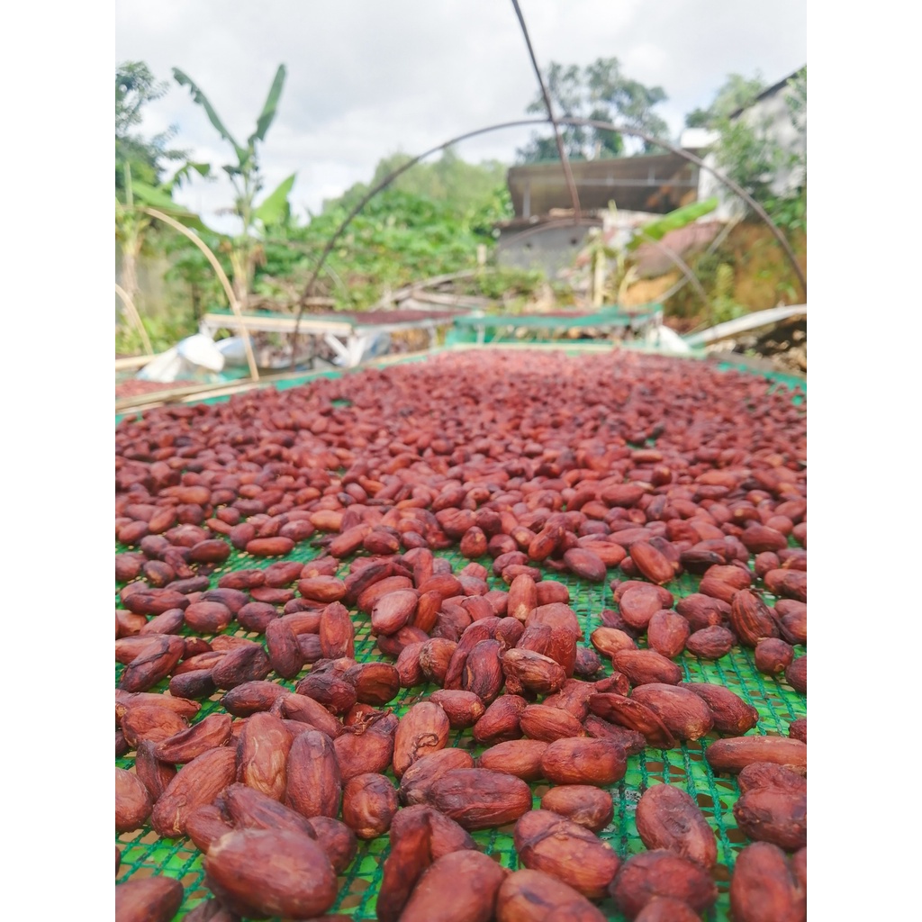 Socola đen 55% Bản Cacao - ít đắng thơm ngon cacao nguyên chất Lâm Đồng - Vietnam dark chocolate