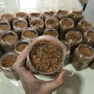 Ruốc tôm thịt ( hộp 500gr)