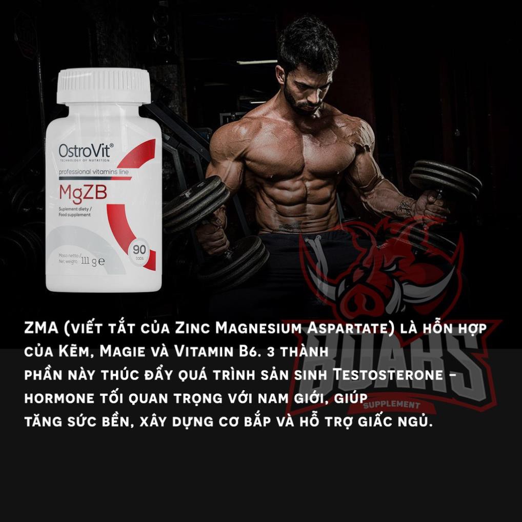 ZMA - BỔ SUNG VITAMIN GIÚP TĂNG CƯỜNG SỨC MẠNH ,TĂNG MIỄN DỊCH, TESTOSTERONE (90 VIÊN) | Thế Giới Skin Care