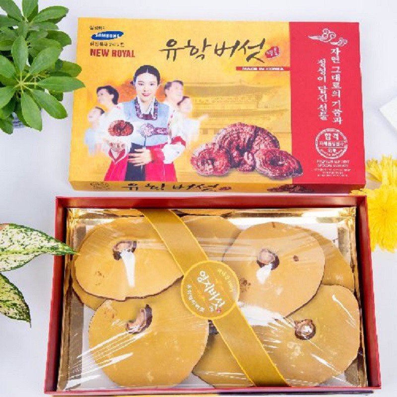[ Giá Sỉ ] Nấm Linh Chi Vàng Chanh Hàn Quốc, Hộp 1 Kg, Hộp Hình Cô Gái, Cao Cấp, Giúp Nâng Cao Sức Khỏe, Ngừa Bệnh Tật