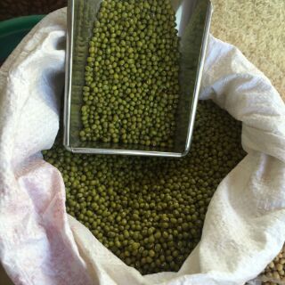 [FREESHIP TỪ 99K] Đỗ xanh quê 1kg