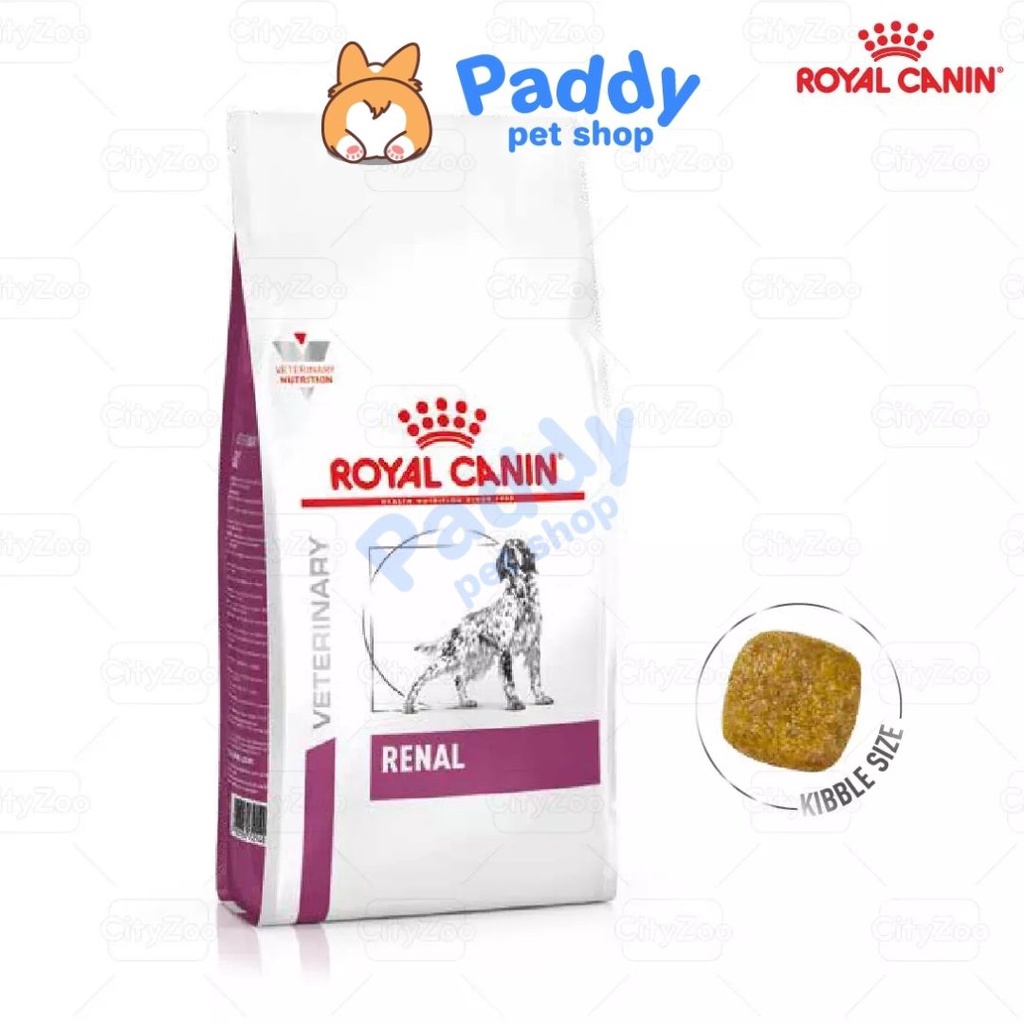 [2kg] Hạt Royal Canin Renal Dog Hỗ Trợ Chức Năng Thận Cho Chó