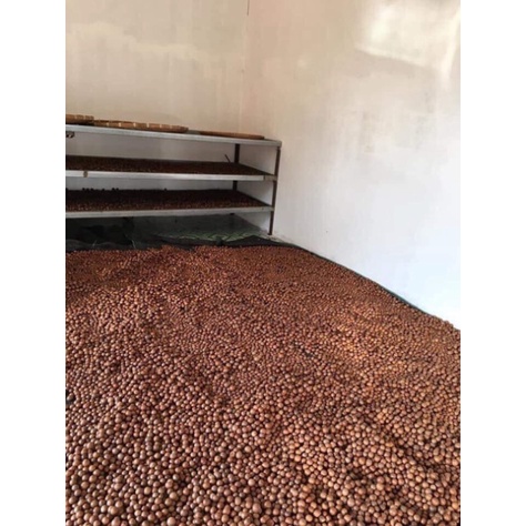 Hạt Macca Organic Sạch size A tốt cho tim mạch, huyết áp, đề kháng và phụ nữ có thai (hạt mắc ca)