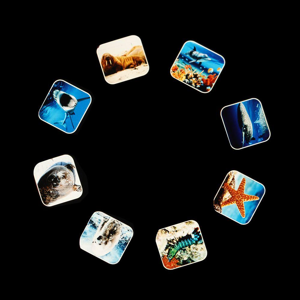 YOLA Đèn Pin Chiếu Hoạt Hình Dễ Thương Cho Bé