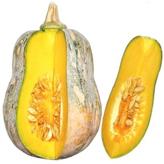 Gói 2gram Hạt Giống Bí Hồ Lô Trang Nông