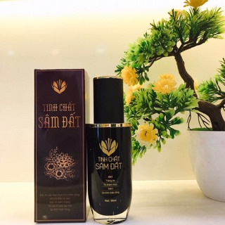 Tinh chất sâm đất