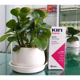 Nước súc miệng Kin Gingival