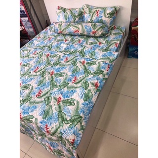 Bộ gra giường 5 Món ẢNH THẬT mẫu bơ
