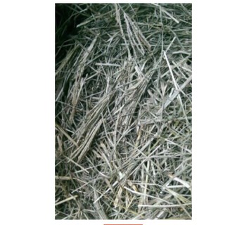 500GR CỎ MẦN TRẦU KHÔ