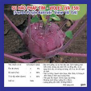 HẠT GIỐNG SU HÀO TÍM GÓI 2 GRAM