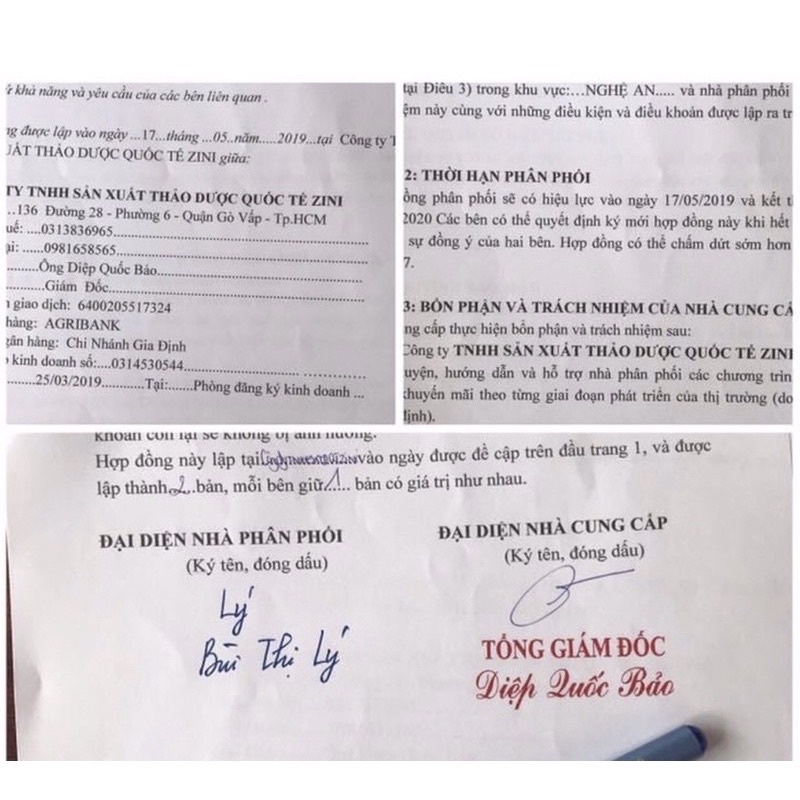 Trà Hoa Sâm Đất