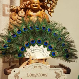 Quạt lông công phong thủy  hàng đẹp