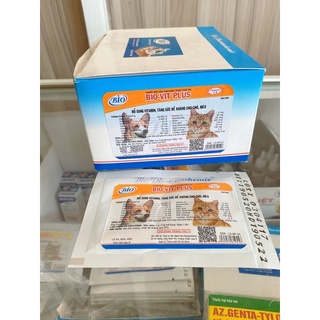 Vitamin giúp chó mèo ăn nhiều, mau lành bệnh, lông mượt.