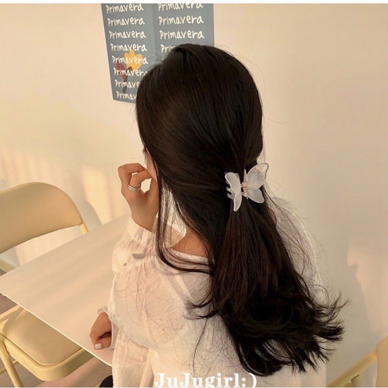 Kẹp gắp bướm nhựa style Hàn quốc