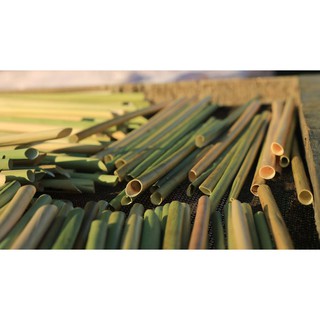 Ống hút cỏ bàng