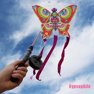 Mèo Con Hình Bướm