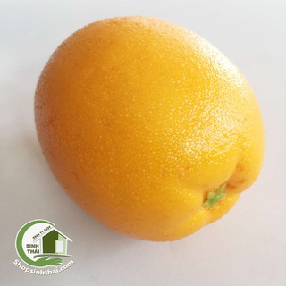 Trái cam giả màu vàng cam - trái cây giả cao cấp