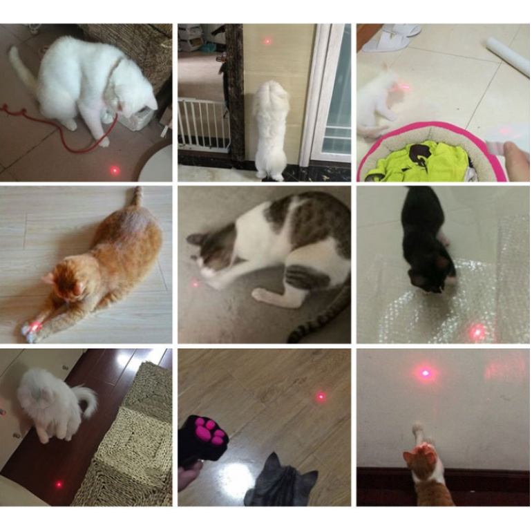ĐÈN LASER TRÊU MÈO SỬ DỤNG 2 PIN TIỂU AAA - LOVE PETS SHOP