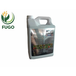 Phân bón vi lượng ROOT SEAWEED can 5 lít