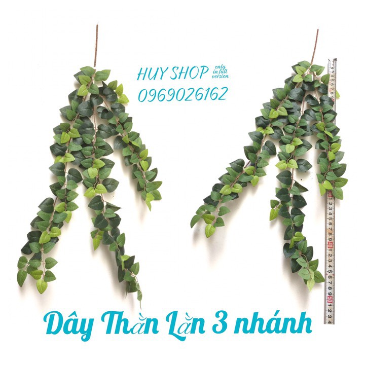 DÂY LÁ NHÂN TẠO - DÂY THẰN LẰN 3 NHÁNH