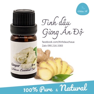Tinh dầu Gừng Ấn Độ - Ginger - 10ml