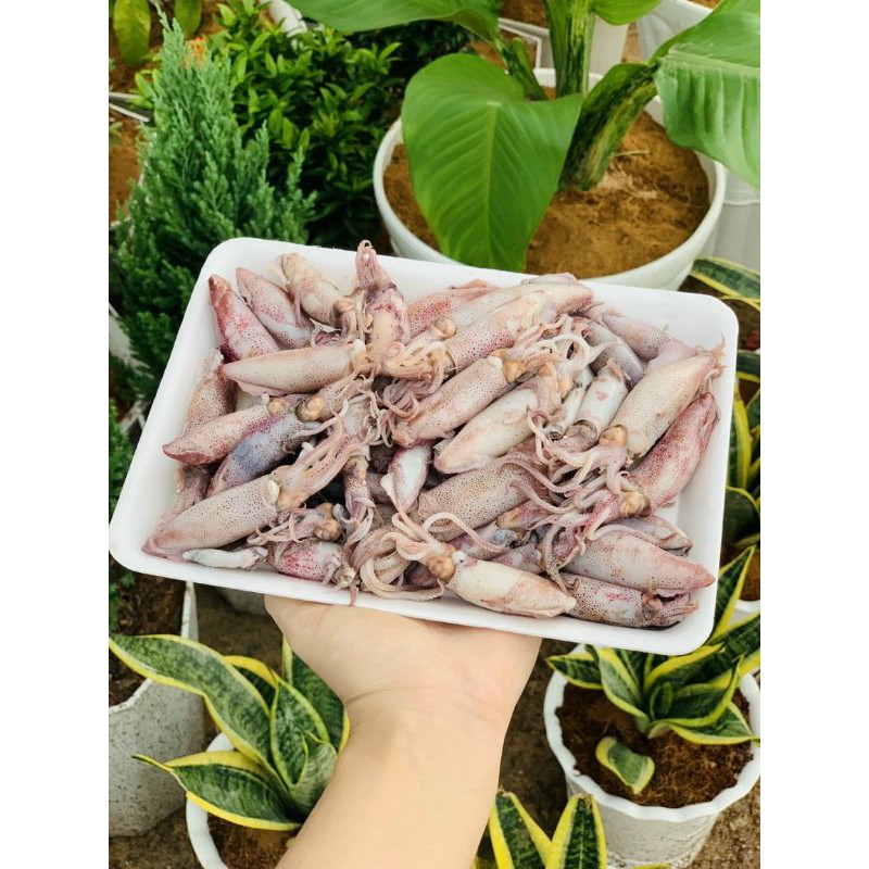 Mực sữa hấp tại ghe ngọt ngon, không teo hao 500g