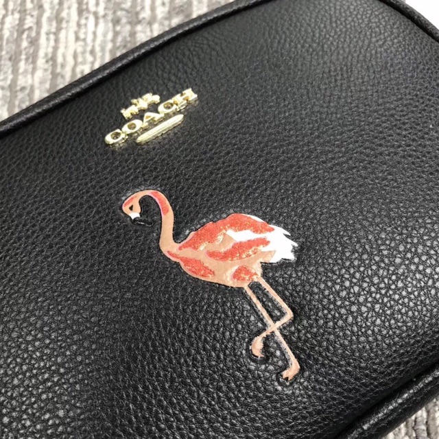 Túi xách coach mini