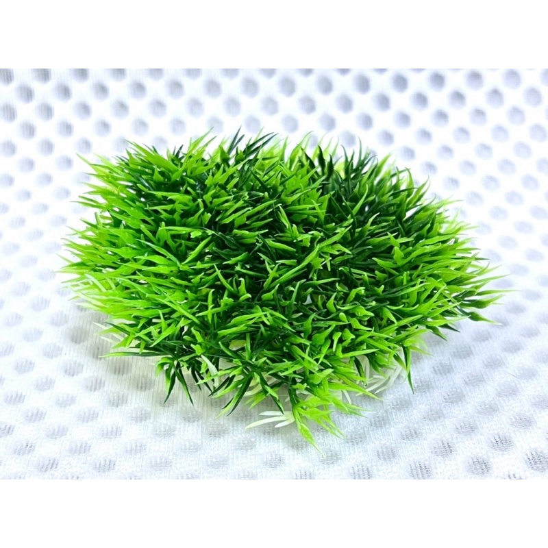 Cụm Rêu Trang Trí Hồ Cá Tép, Thuỷ Sinh