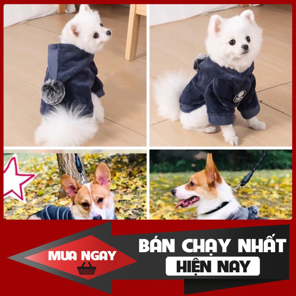 [ LOẠI 1 ] Quần áo hoodie cho thú cưng giữ ấm thu đông sang trọng cao cấp