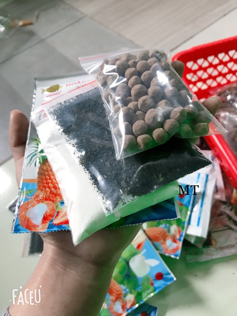 Combo 20 set trà thái trân châu | BigBuy360 - bigbuy360.vn