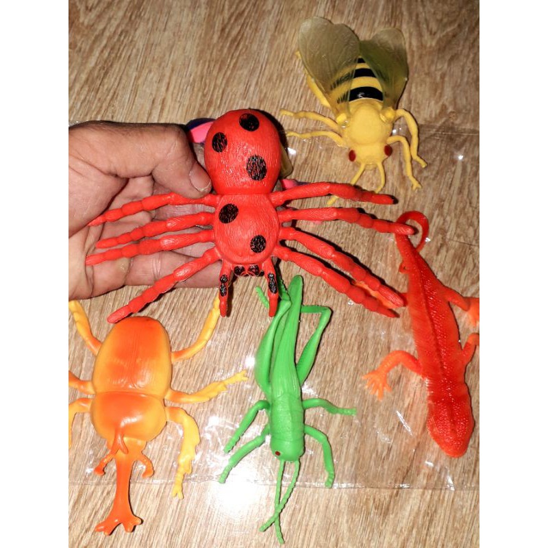 Sét 6 mô hình côn trùng bằng nhựa cứng rất đẹp