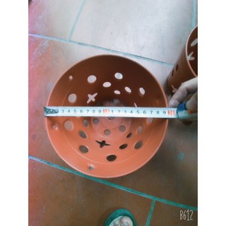 chậu nhựa treo trồng lan