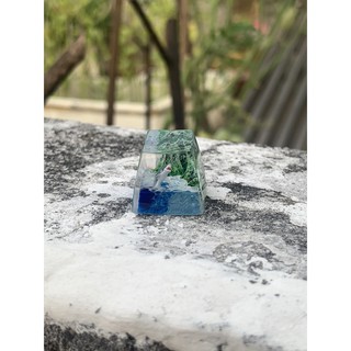 Nút bàn phím keycap cá mập và biển cả